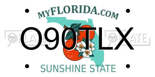 O90TLX Florida License Plate