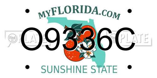 O9336C Florida License Plate