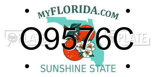 O9576C Florida License Plate