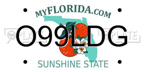 O99LDG Florida License Plate