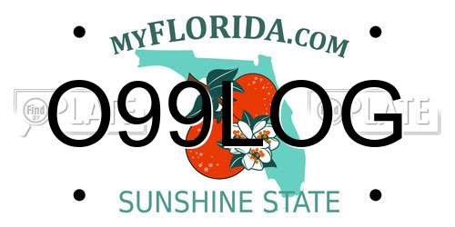 O99LOG Florida License Plate