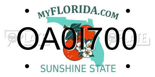 OA0I700 Florida License Plate