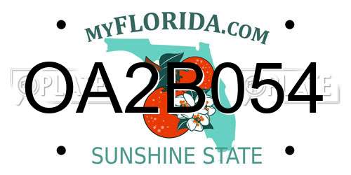 OA2B054 Florida License Plate
