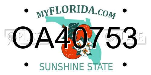 OA40753 Florida License Plate