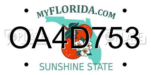 OA4D753 Florida License Plate