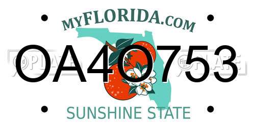 OA4O753 Florida License Plate