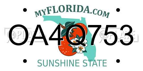 OA4Q753 Florida License Plate