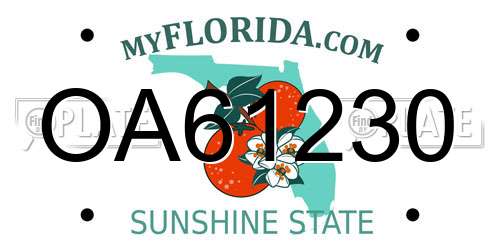 OA61230 Florida License Plate