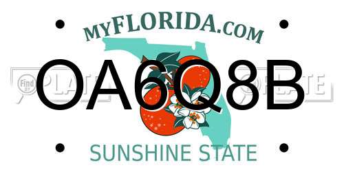 OA6Q8B Florida License Plate