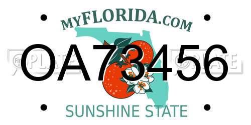 OA73456 Florida License Plate