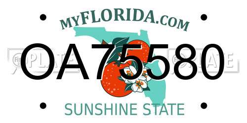 OA75580 Florida License Plate
