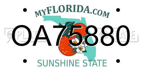 OA75880 Florida License Plate