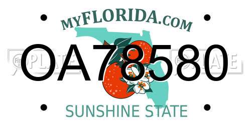 OA78580 Florida License Plate