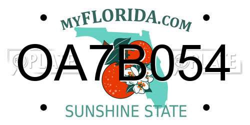 OA7B054 Florida License Plate