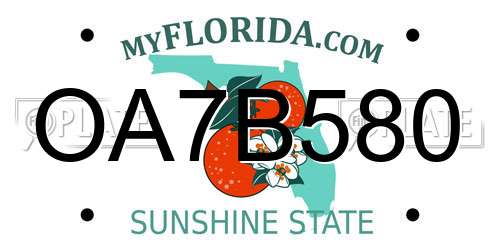 OA7B580 Florida License Plate