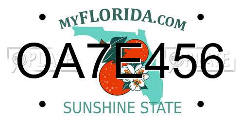 OA7E456 Florida License Plate