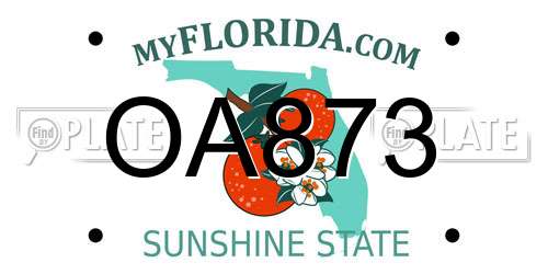OA873 Florida License Plate