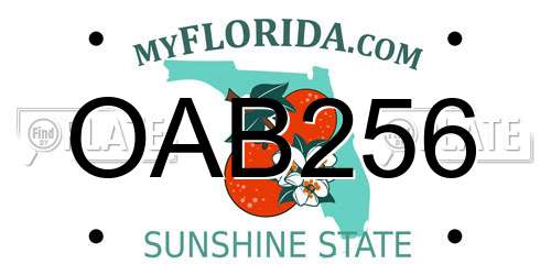 OAB256 Florida License Plate