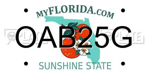 OAB25G Florida License Plate