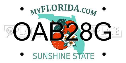 OAB28G Florida License Plate
