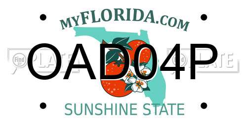 OAD04P Florida License Plate