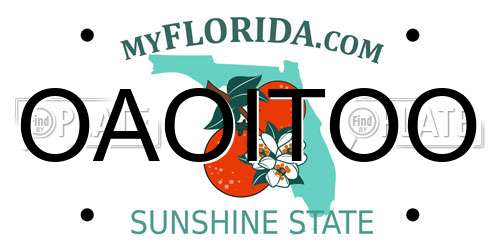 OAOITOO Florida License Plate