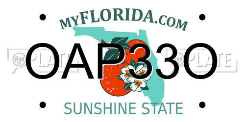 OAP33O Florida License Plate