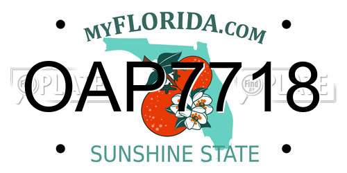 OAP7718 Florida License Plate