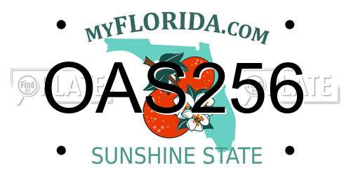 OAS256 Florida License Plate