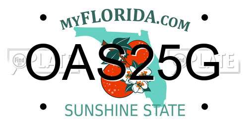 OAS25G Florida License Plate