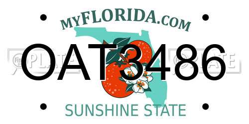 OAT3486 Florida License Plate