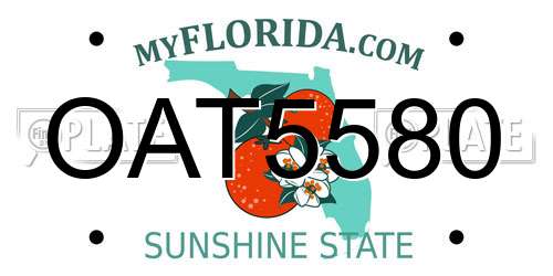 OAT5580 Florida License Plate