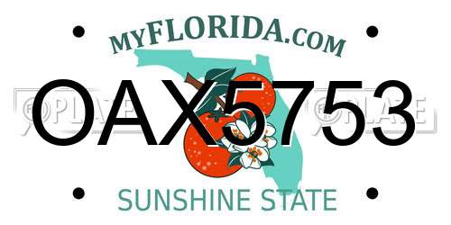 OAX5753 Florida License Plate