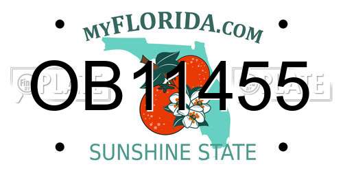 OB11455 Florida License Plate