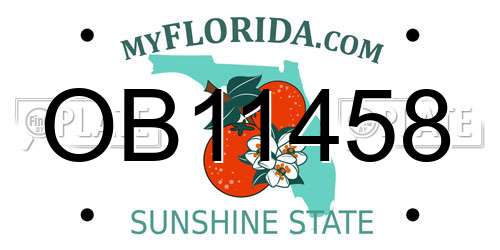OB11458 Florida License Plate