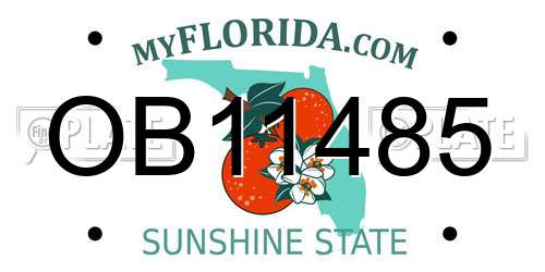 OB11485 Florida License Plate