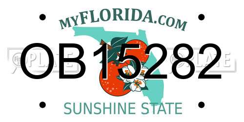 OB15282 Florida License Plate