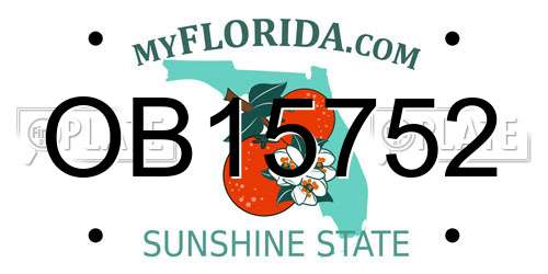 OB15752 Florida License Plate