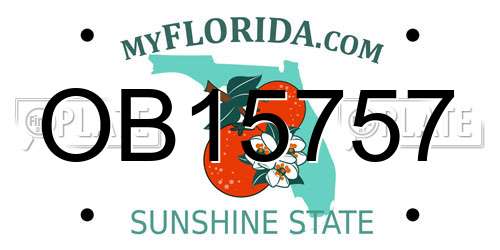 OB15757 Florida License Plate