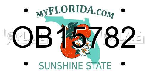 OB15782 Florida License Plate