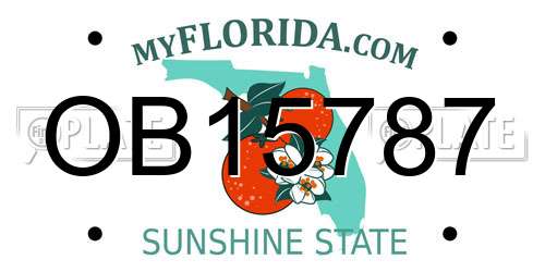 OB15787 Florida License Plate