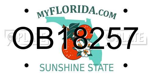 OB18257 Florida License Plate