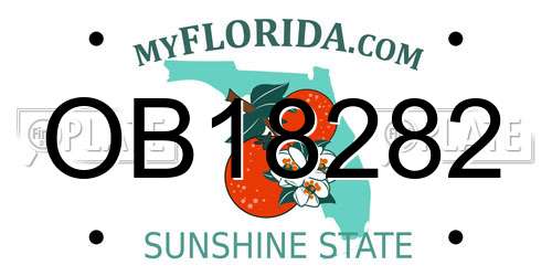 OB18282 Florida License Plate