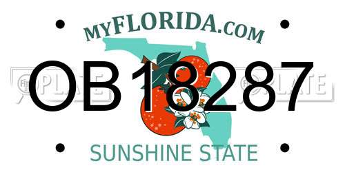 OB18287 Florida License Plate