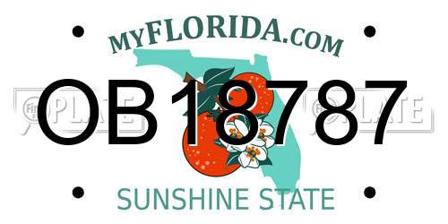 OB18787 Florida License Plate