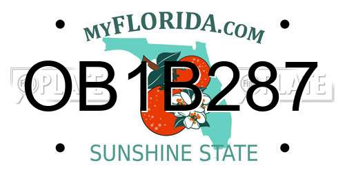 OB1B287 Florida License Plate