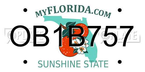 OB1B757 Florida License Plate