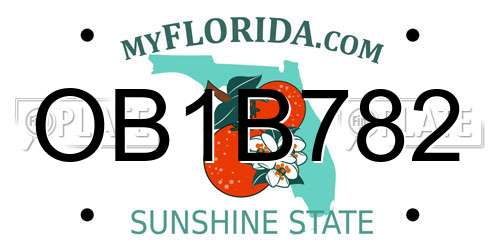OB1B782 Florida License Plate