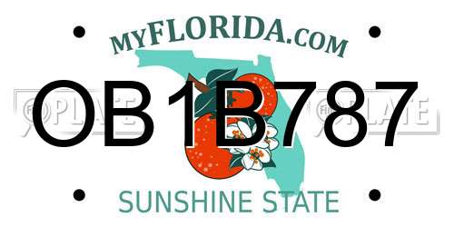 OB1B787 Florida License Plate