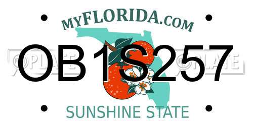OB1S257 Florida License Plate